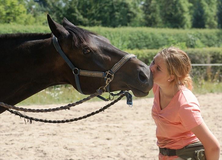 Svensk Varmblod Romance - RIP <3 - When destiny calls you, you must be strong. I may not be with you, but you´ve got to hold on. They´ll see in time, I know. We´ll show them together. Cause you´ll be in my heart, always. See you in heaven my boy. billede 5