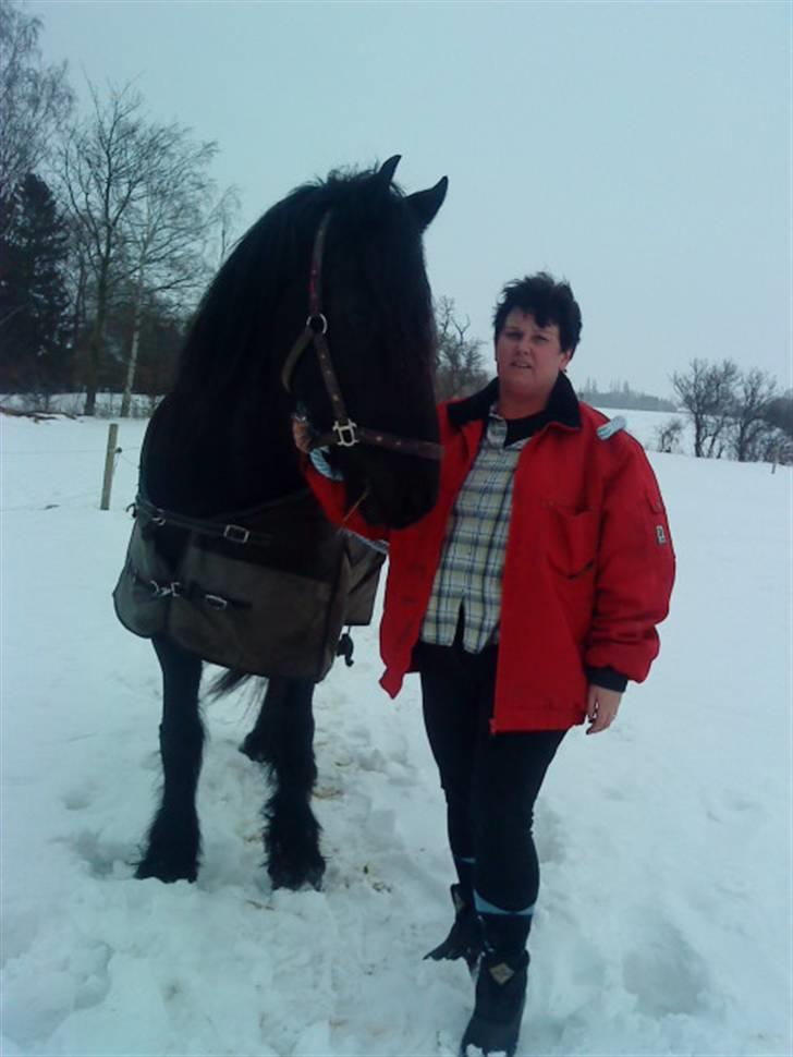 Frieser Aaltje billede 15