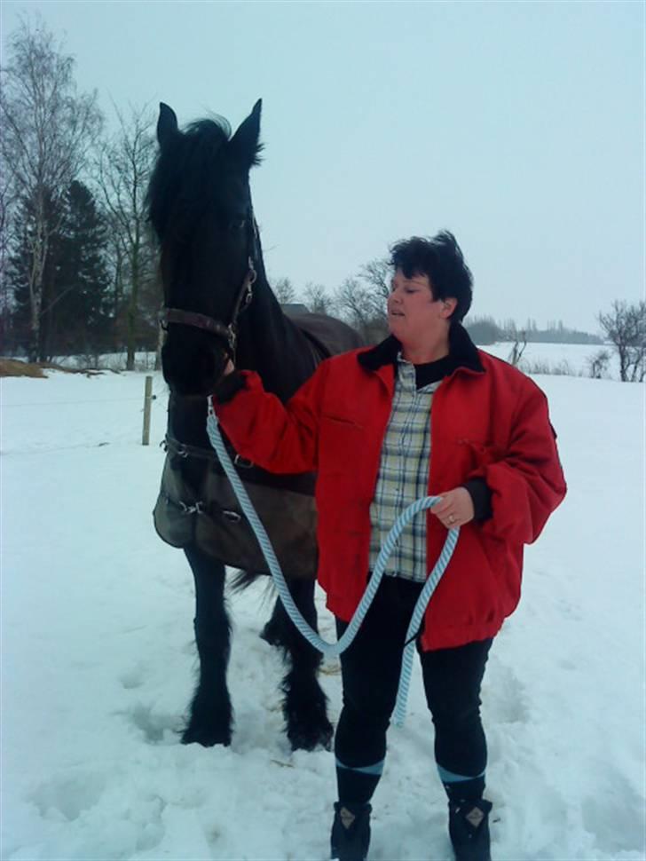 Frieser Aaltje billede 17