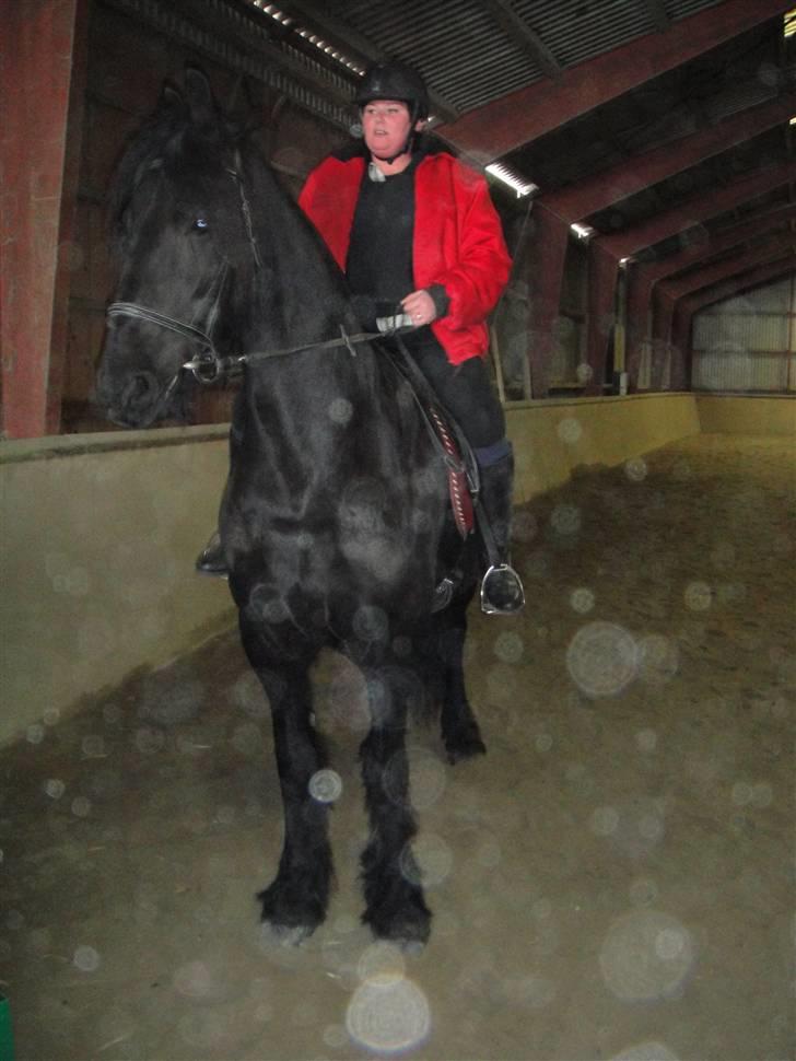 Frieser Aaltje billede 18