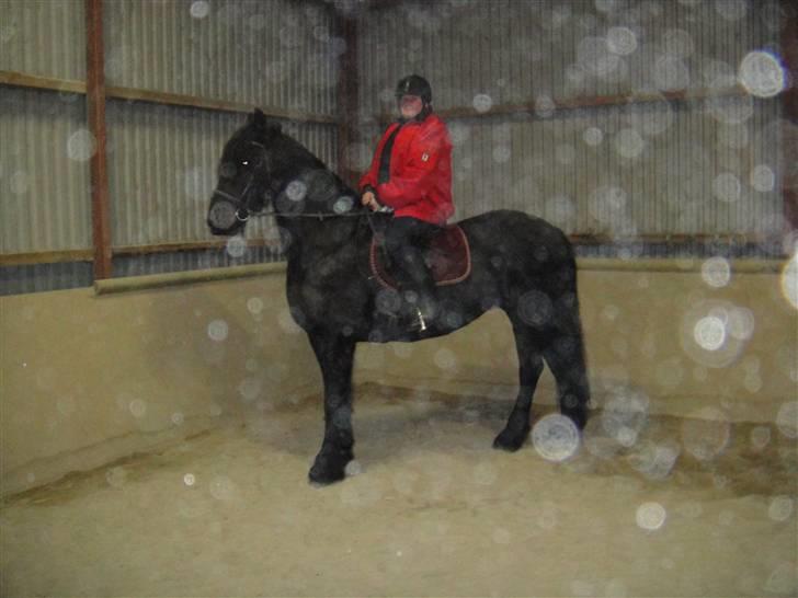 Frieser Aaltje billede 19