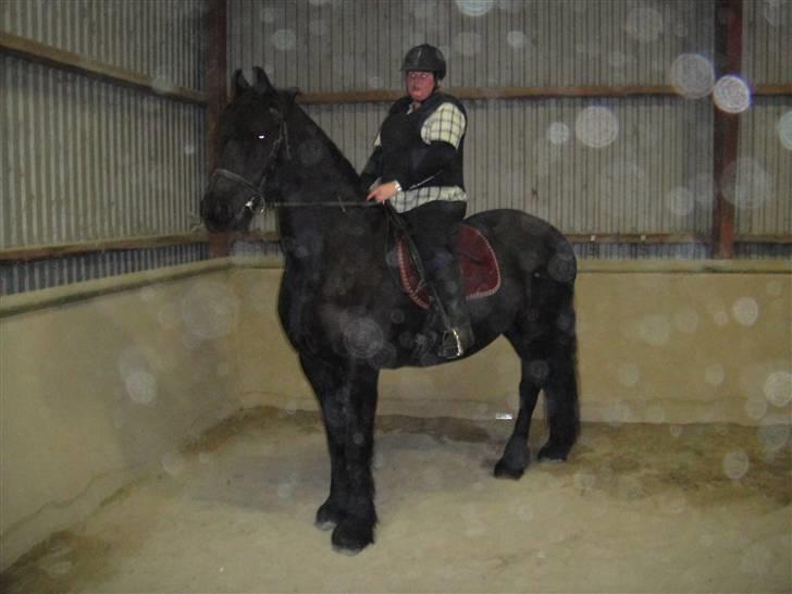 Frieser Aaltje billede 20