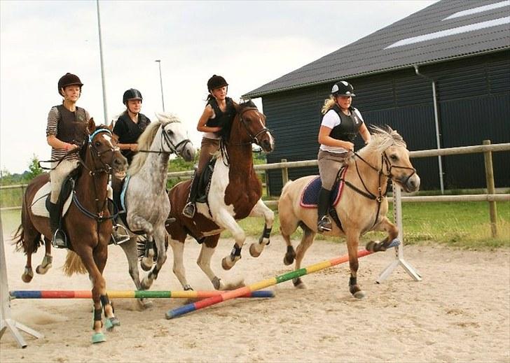 Fjordhest Regina Godthaab (TIDL. PART) - I need you here wherever you are I need you now to take me so far! <3 billede 3