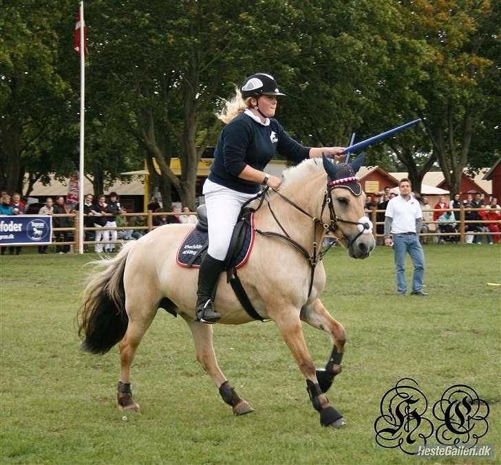 Fjordhest Regina Godthaab (TIDL. PART) - Opvisning store hestedag 09, seeeej poni d;  billede 4