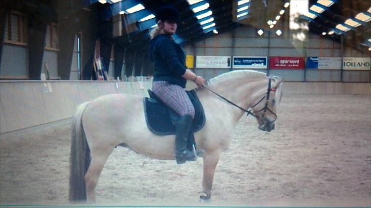 Fjordhest Regina Godthaab (TIDL. PART) - Du er min gud, alle blejner ved siden af dig <3 billede 12