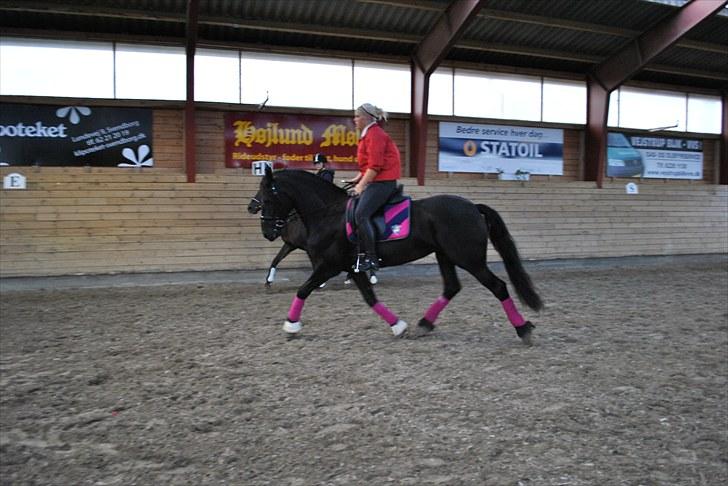 Frieser • MENTHA DE V. • HIMMELHEST <3 - Ridesportstræning d. 18/9-2010 ;-) fotograf; Nina Moulton <3 billede 7