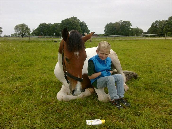 Anden særlig race Obelix - Juni 2010 Nicklas hygger lige med Obelix billede 12