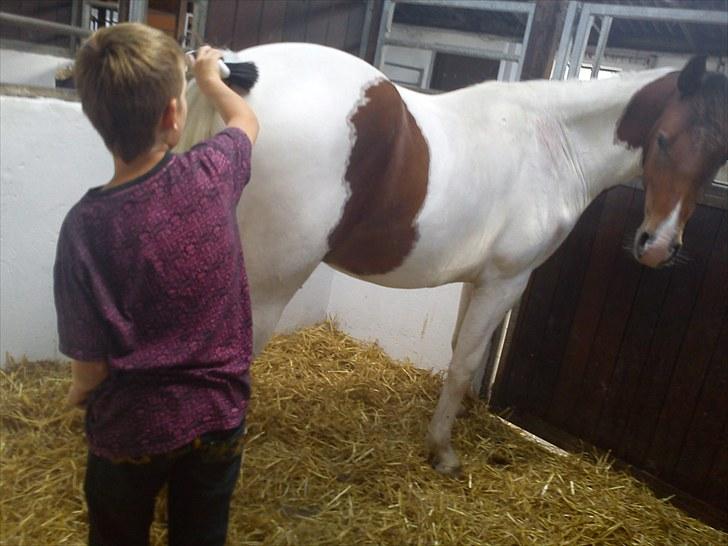 Anden særlig race Obelix - August 2010 billede 13