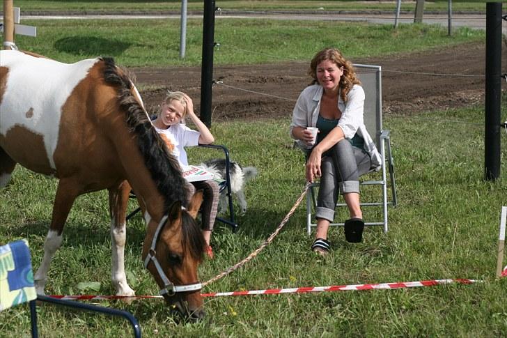 Pinto Holleskovgårds Teckla. - hygge til hammerum ponyuge<3Elsker dig min SKAT<3<3<3<3<3 billede 2