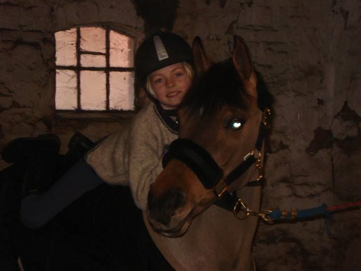 Pinto Holleskovgårds Teckla. - jeg elsker dig over alt skat billede 5