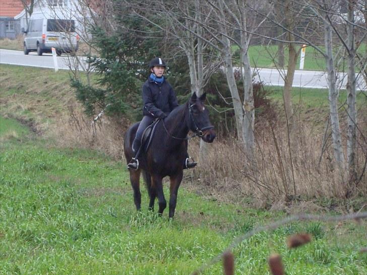 Traver Golden Flamingo billede 4