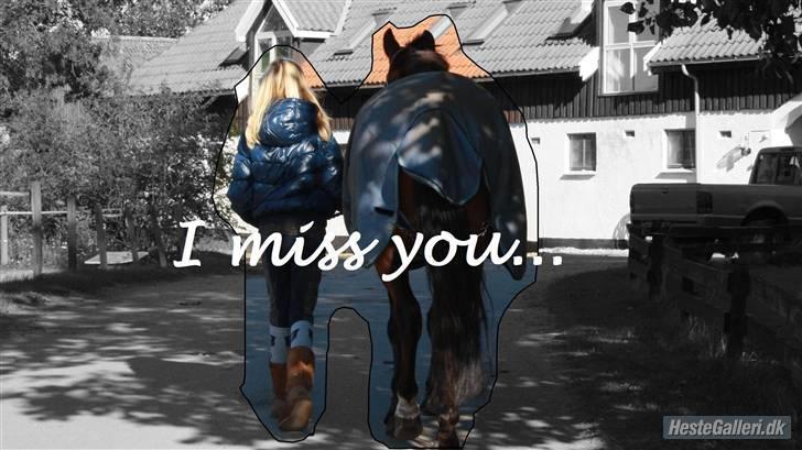 Anden særlig race Lucky  - Skath, du er mit et og alt, og jeg vil aldrig glemme dig. Du var perfekt nej du er ubeskrivelig skath, i miss you men jeg husker dig for det du har gjordt ved mig, du har den største plads i mit hjerte og det skal du bare vide ;* <333 <333 <333 <333  billede 20