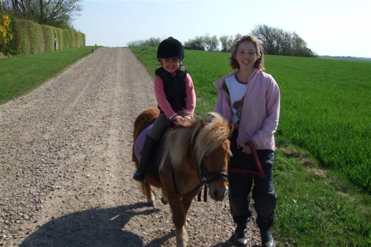 Shetlænder Mille  #SOLGT# - Emma,mig og mille efter vores tur billede 14