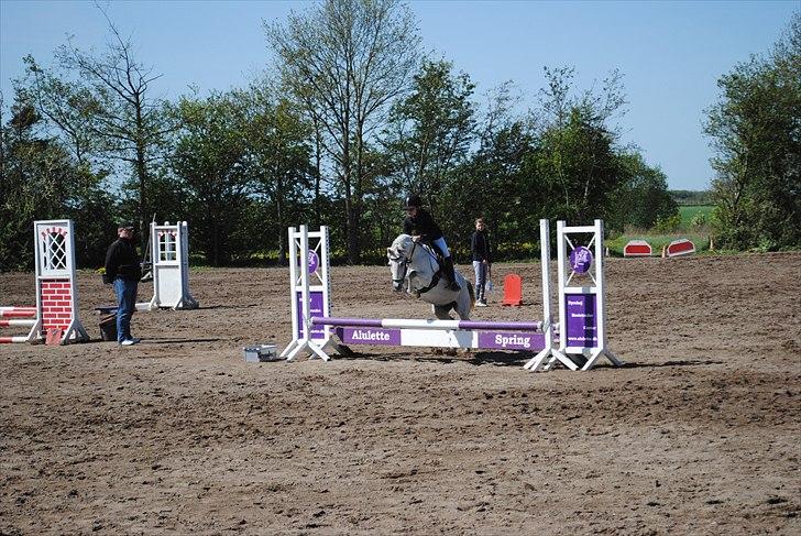 Welsh Partbred (Sec F) TofteKjærs Loralai {Tulle} *soglt* Du var bedst<3 - spring på agr pildte men ellers fin runde ;) billede 7