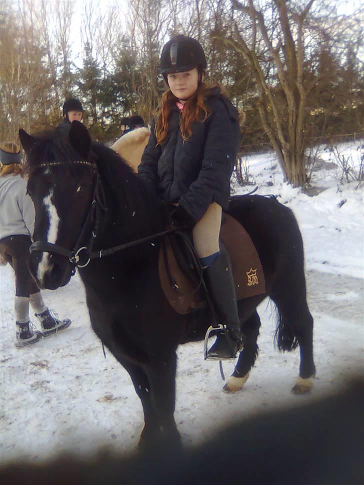 Anden særlig race FREJA billede 18