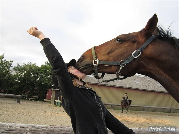 Anden særlig race Chablis - hmm dejlig mys<33 foto:martina billede 12