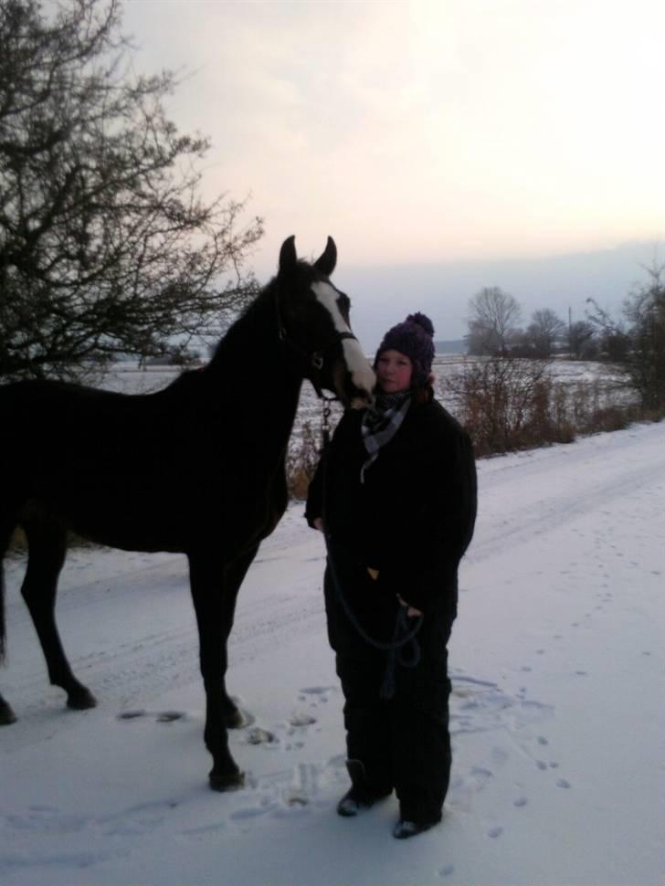 Dansk Varmblod Pointsprings Maddison - Søs og Maddi i sneen 2009<3 billede 2