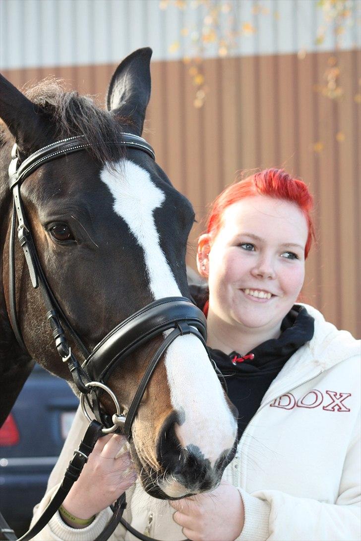 Dansk Varmblod Pointsprings Maddison - Søs og Maddi. billede 8