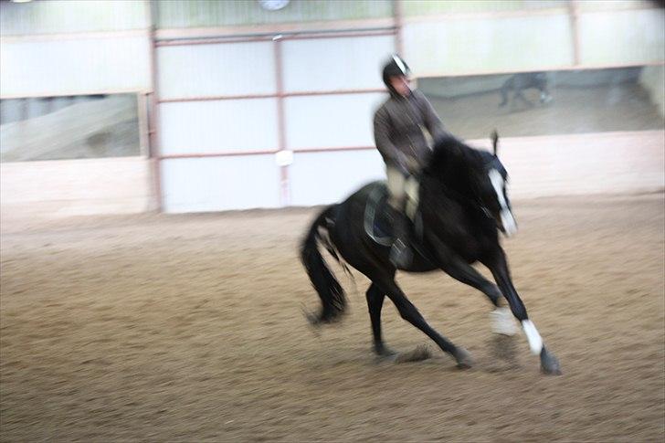 Dansk Varmblod Pointsprings Maddison - Maddi med rytter! :D billede 12