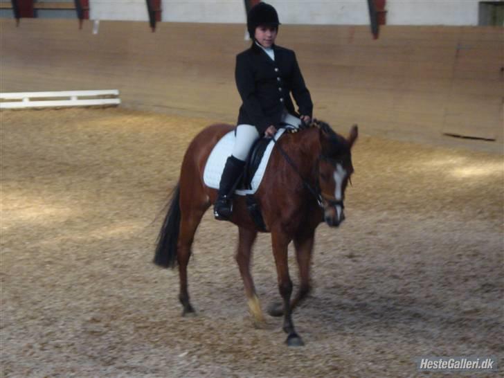 Anden særlig race Olympia R.I.P - mig og ollie til anden stævene      Foto: Sine billede 2