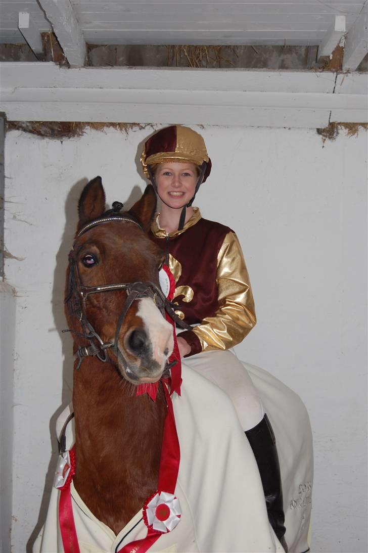 Anden særlig race Don Pedro billede 3