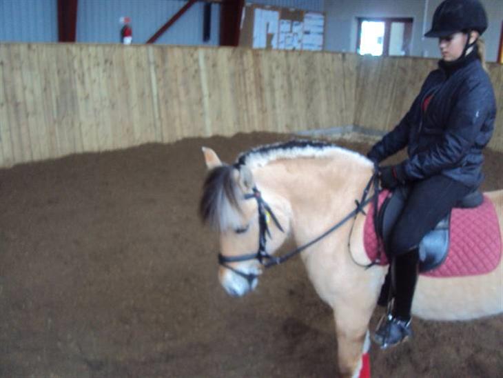 {{currentPhoto.altText}} billede {{currentPhoto.number}}