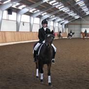 Anden særlig race Fiona `Gammel part`