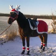 Traver Gardian Angel