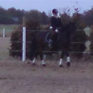 Traver Gardian Angel