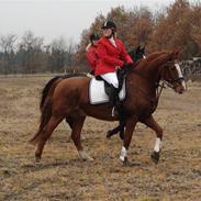 Frederiksborg Bakkegårdens Frederik