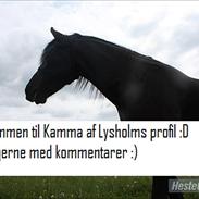 Frieser Kamma af Lysholm