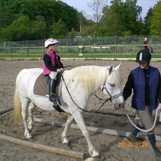 Anden særlig race Ragna