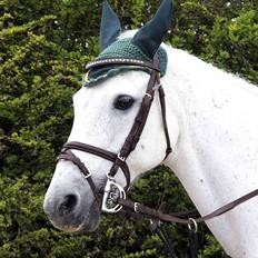 DSP Ditte<3 solgt og savnet<3