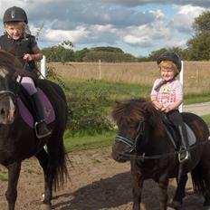 Anden særlig race Scoot