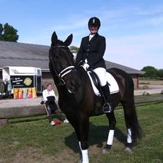 Dansk Varmblod Black Beauty (tidligere hest)