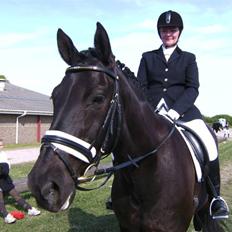 Dansk Varmblod Black Beauty (tidligere hest)