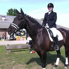 Dansk Varmblod Black Beauty (tidligere hest)
