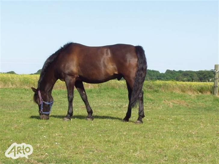 Anden særlig race Zetan *AFLIVET* - mmmm :D´`læk læk lækkert :D savner dig basse<3!!! billede 14