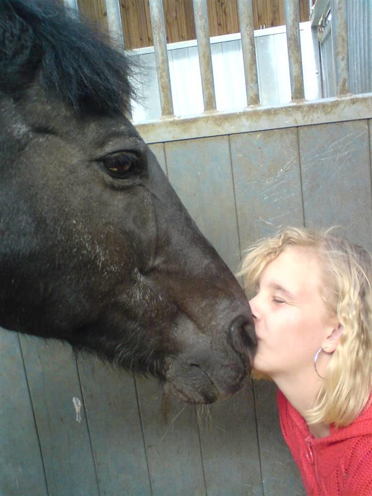 Anden særlig race Zetan *AFLIVET* - .Det sidste kys ;´* :´( :´( savner dig så meget mitalt!!!!!!!<3<3<3<3<3 billede 15