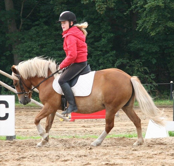 Anden særlig race Fie Gamle part:´) billede 9