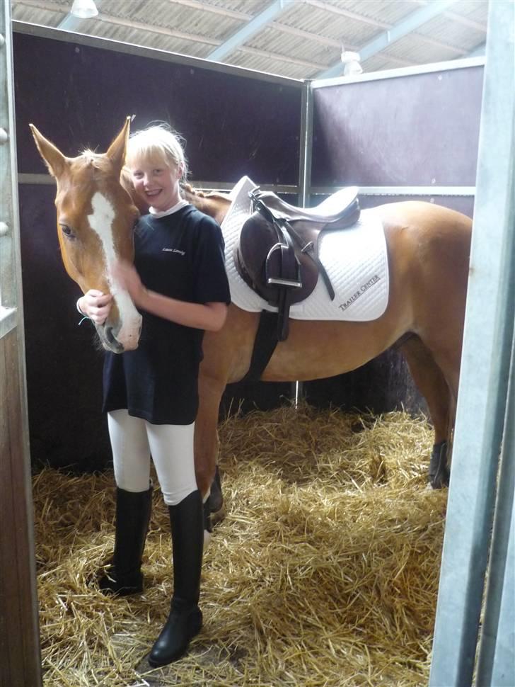 Anden særlig race Gyvelgårdens Jolly -  I boksen på Vilhelmsborg billede 11