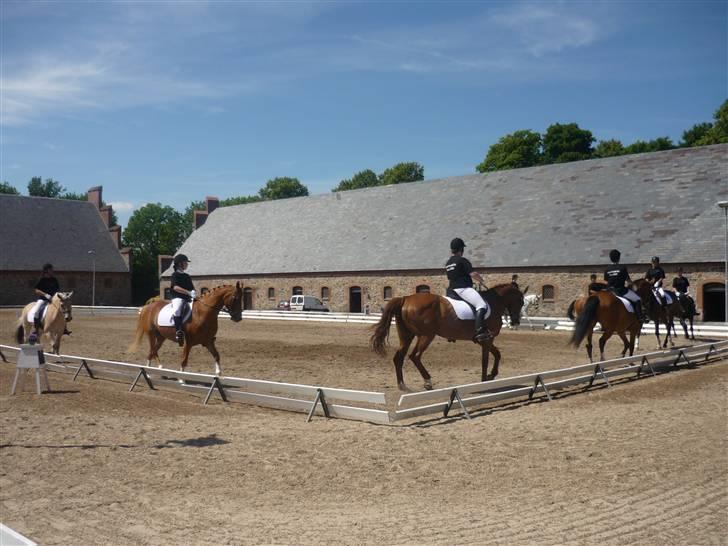 Anden særlig race Gyvelgårdens Jolly billede 12