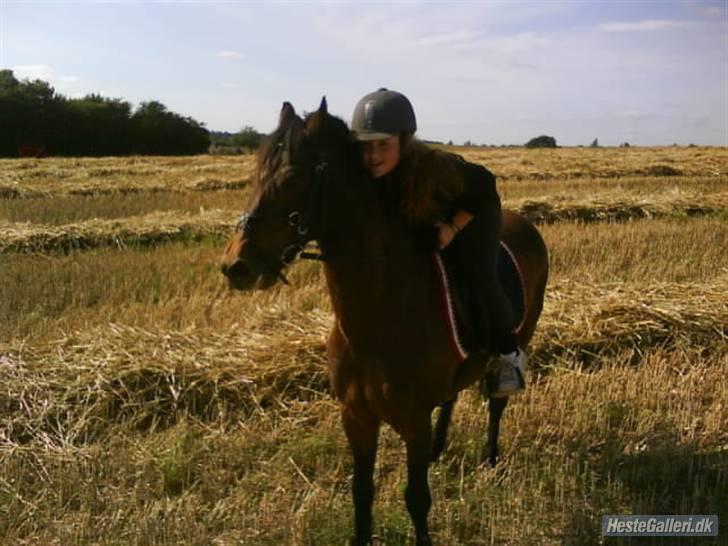 Connemara Bobby af Boest Nørregaard billede 19