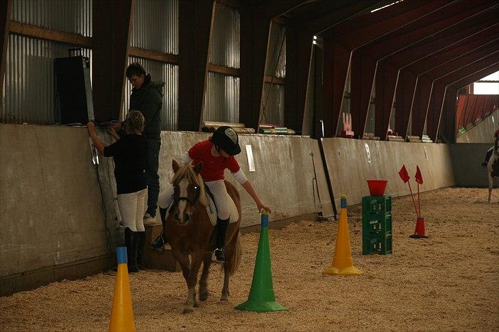 Anden særlig race Fie Gamle part:´) billede 10