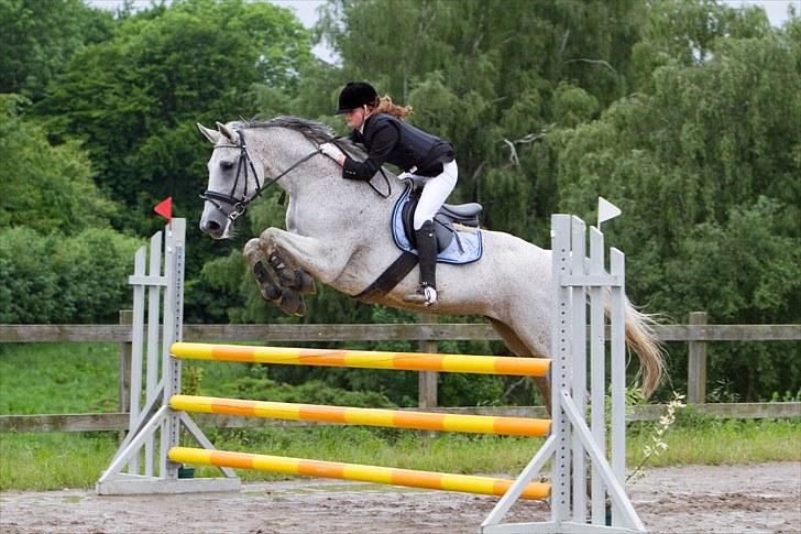 Holstener CORVARA 7  - SYK C-stævne - LC 2. plads :-) Ctfoto.dk ©  billede 1