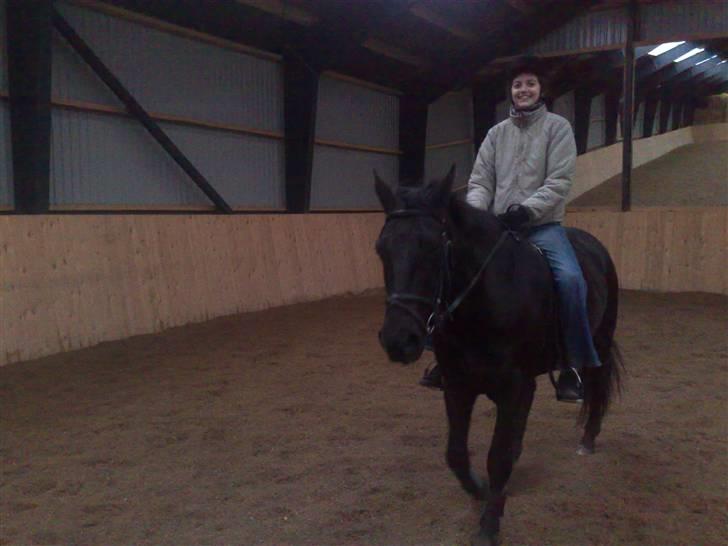 Anden særlig race Nairobi billede 14