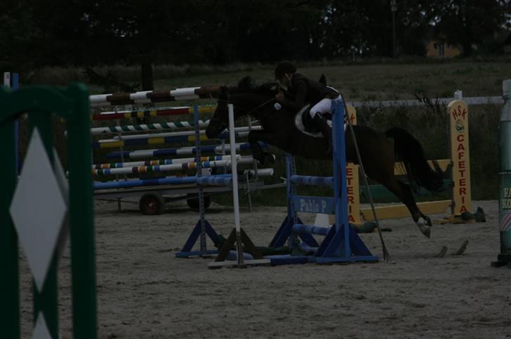 Anden særlig race Kissba billede 18