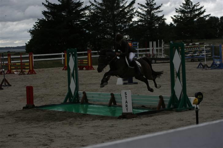 Anden særlig race Kissba - Våde tær! Nej tak! billede 19