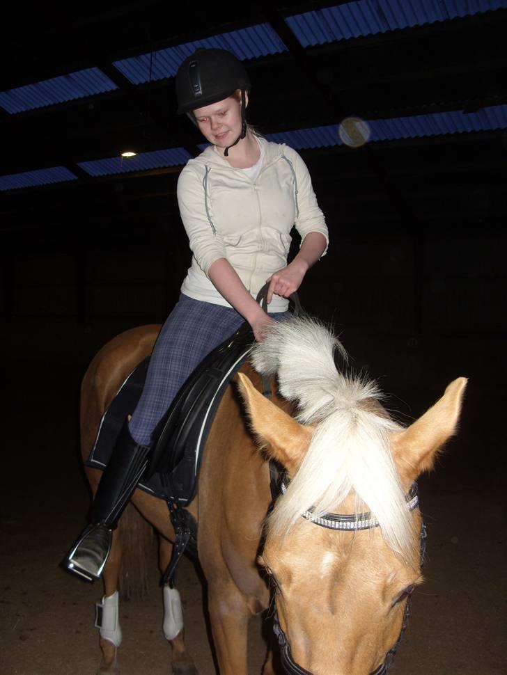 Palomino  | Tania Bambini - SOLGT - 9: Tania med rytter på, 2 gang hjemme :D billede 9