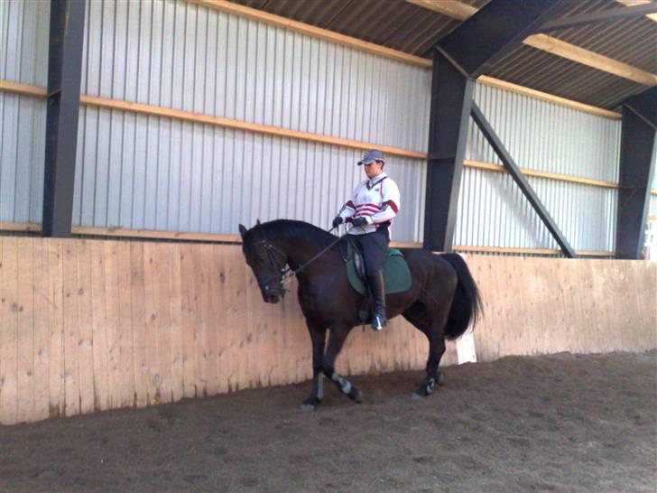 Anden særlig race Nairobi billede 15